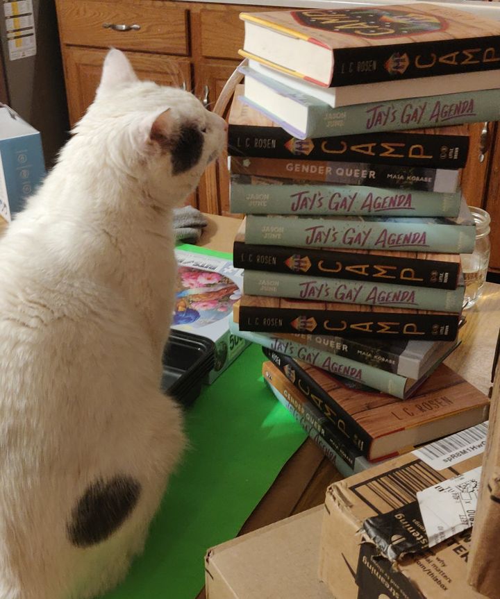 A cat sniffing at three books on a table.